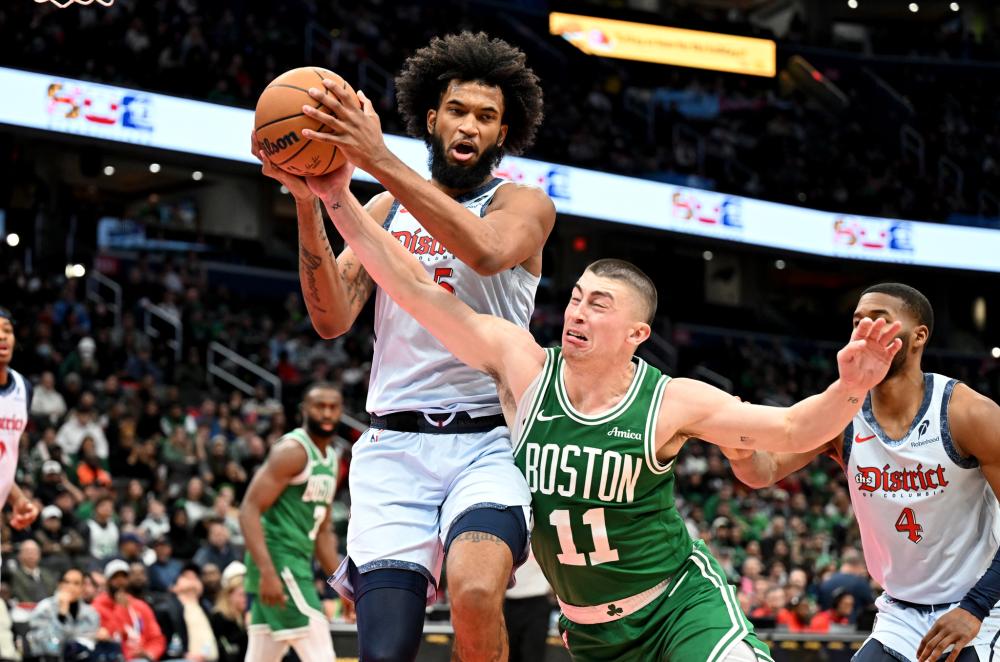 在草地上的 在草地上的